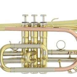 Roy Benson B-Kornett CR-202