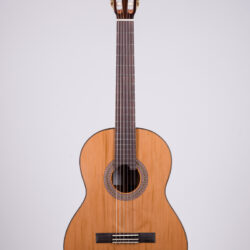 Duke Konzertgitarre Basis C Lady